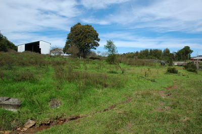 Looking north towards river.